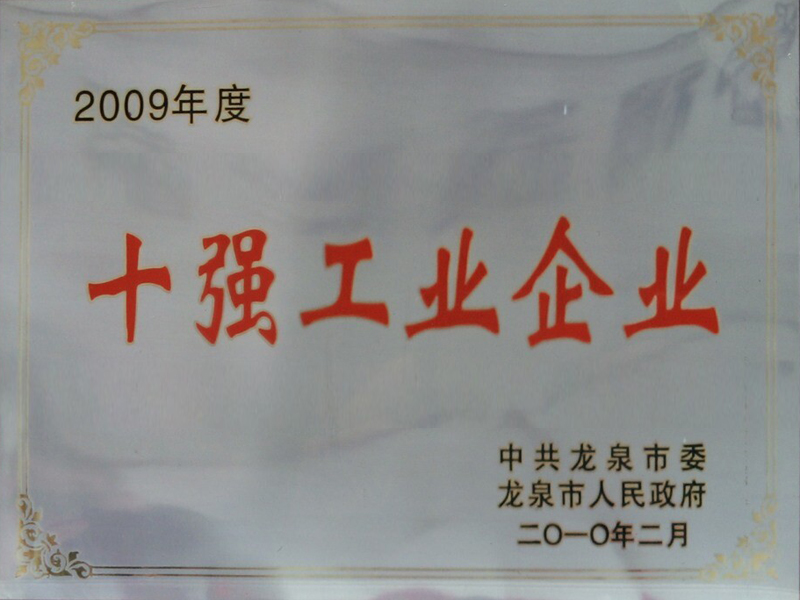 2009十强工业企业