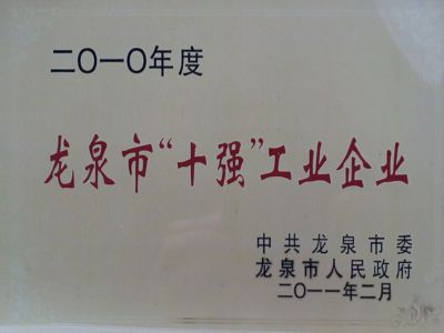 2010龙泉十强工业企业